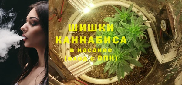 ALPHA-PVP Вяземский