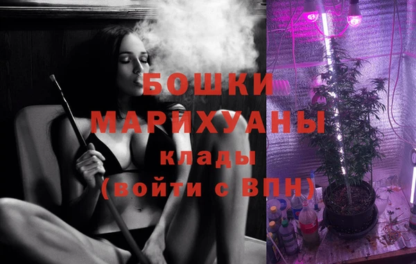 ALPHA-PVP Вяземский